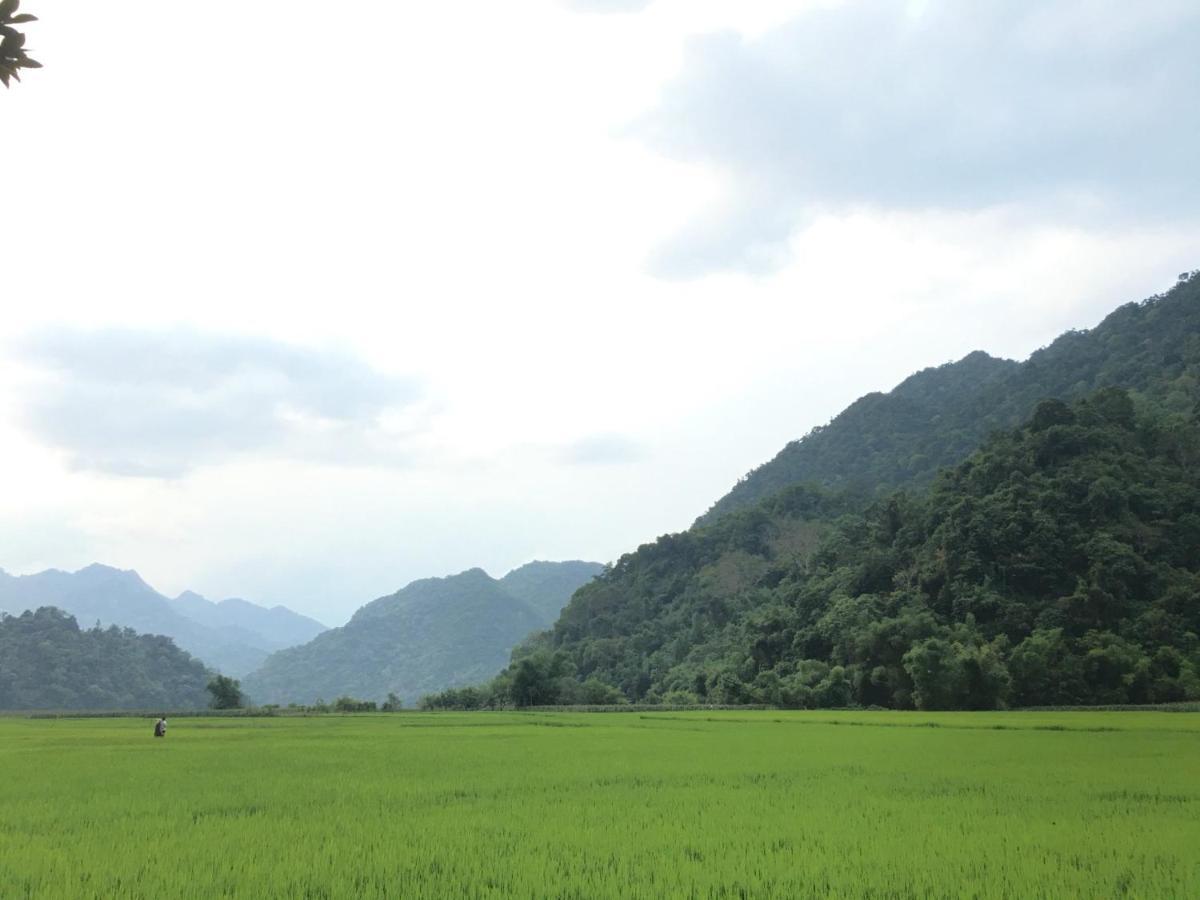 Ba Be Hoang Quan Homestay מראה חיצוני תמונה